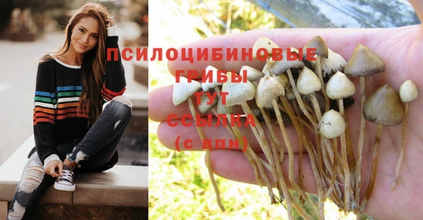 мескалин Верея