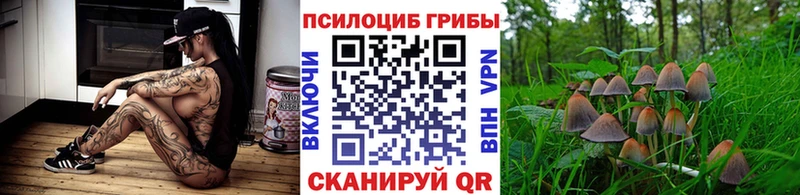 Псилоцибиновые грибы Magic Shrooms Королёв