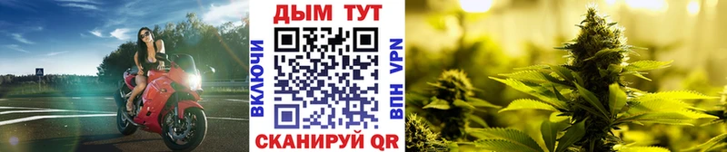 Шишки марихуана план  blacksprut зеркало  Королёв 